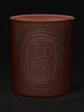 Lifestyle image of Diptyque Roses Candle variant: 53 oz (Very Large)