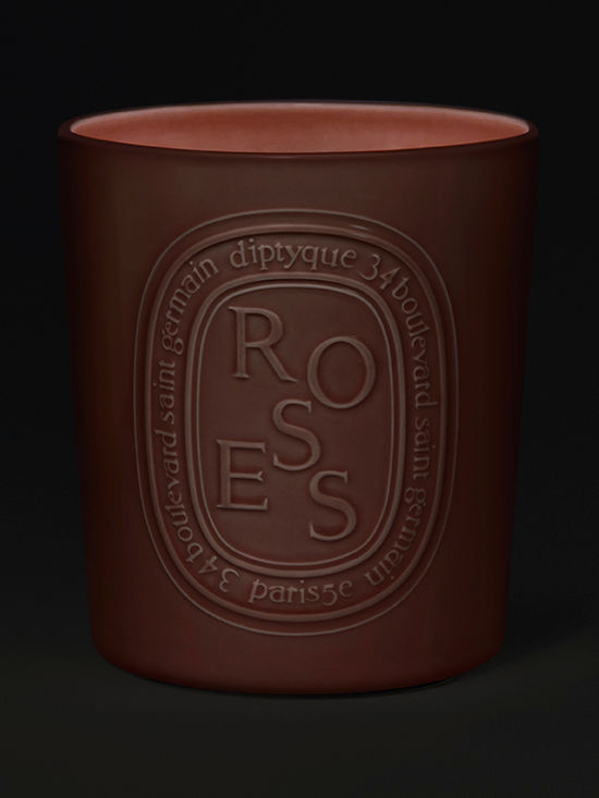 Lifestyle image of Diptyque Roses Candle variant: 53 oz (Very Large)