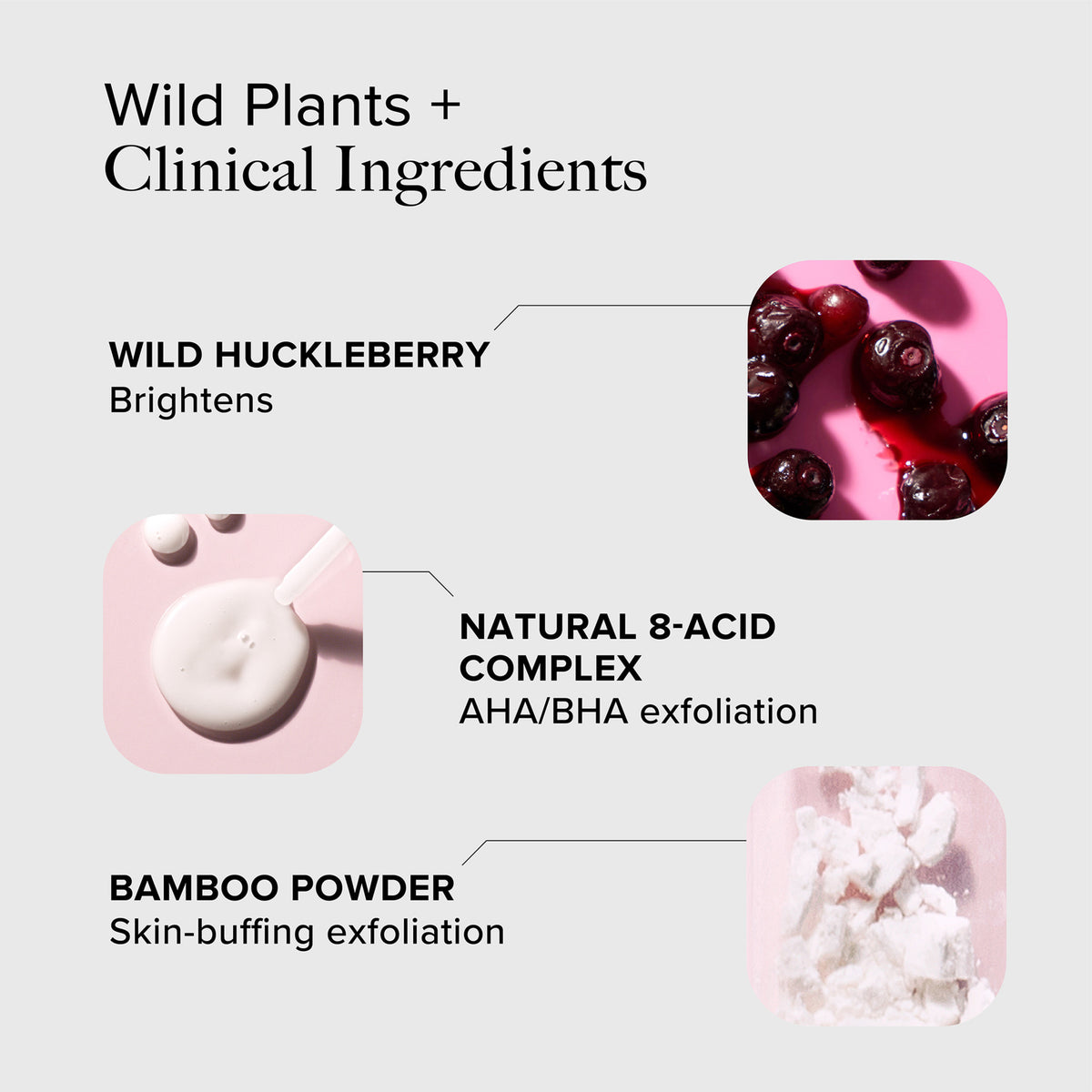 Alpyn Beauty Wild Huckleberry 8-Acid Polishing Peel .