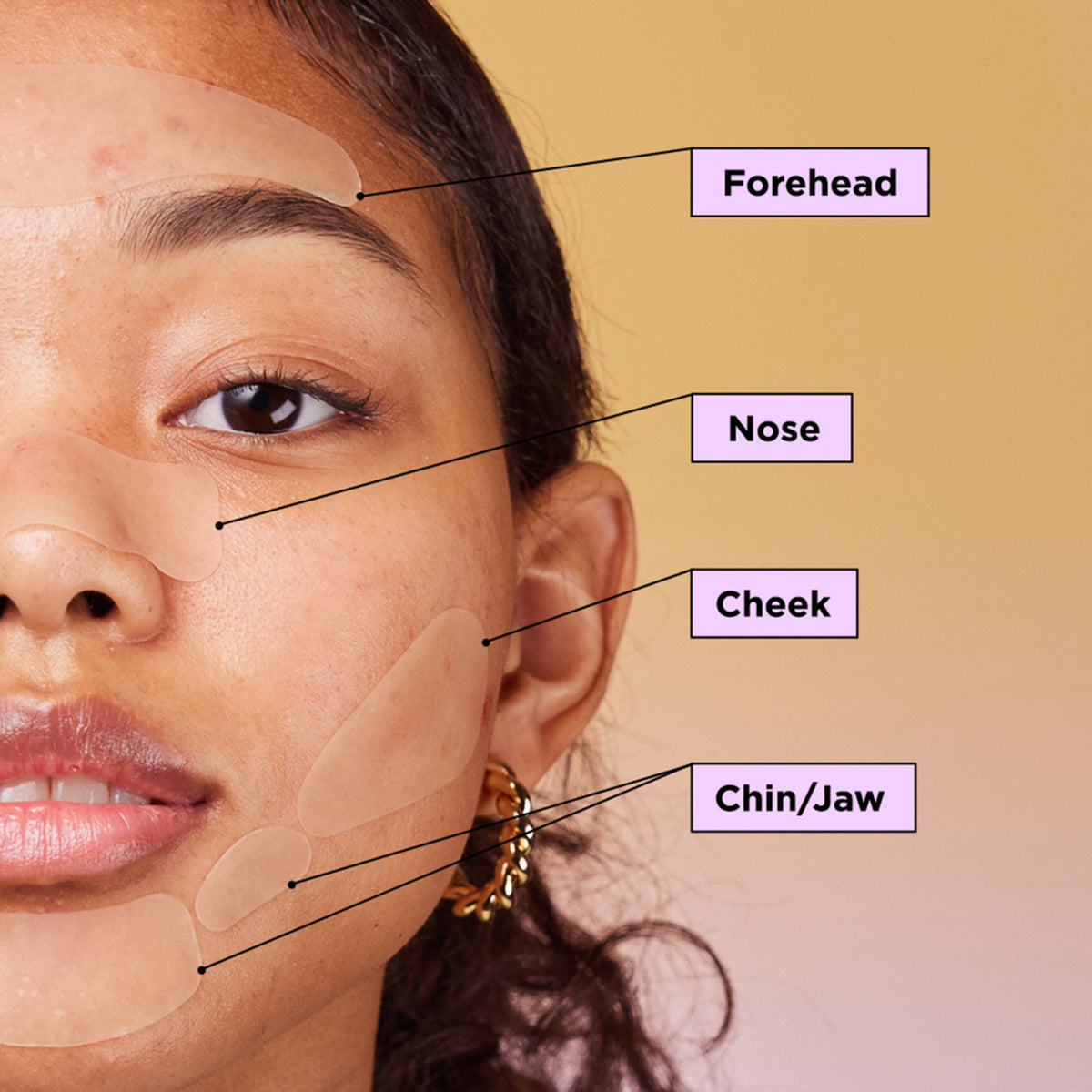 ZitSticka Face Map Surface Area Extraction Patches .