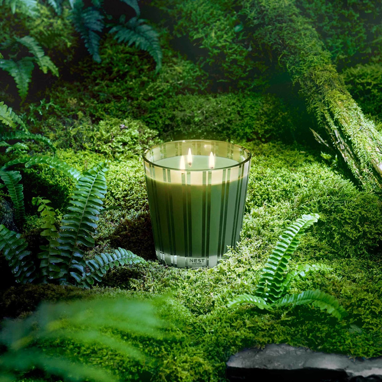 Nest Wilderness Midnight Moss and Vetiver Candle .