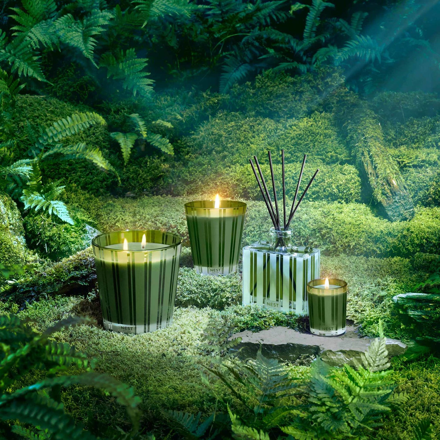 Nest Wilderness Midnight Moss and Vetiver Candle .