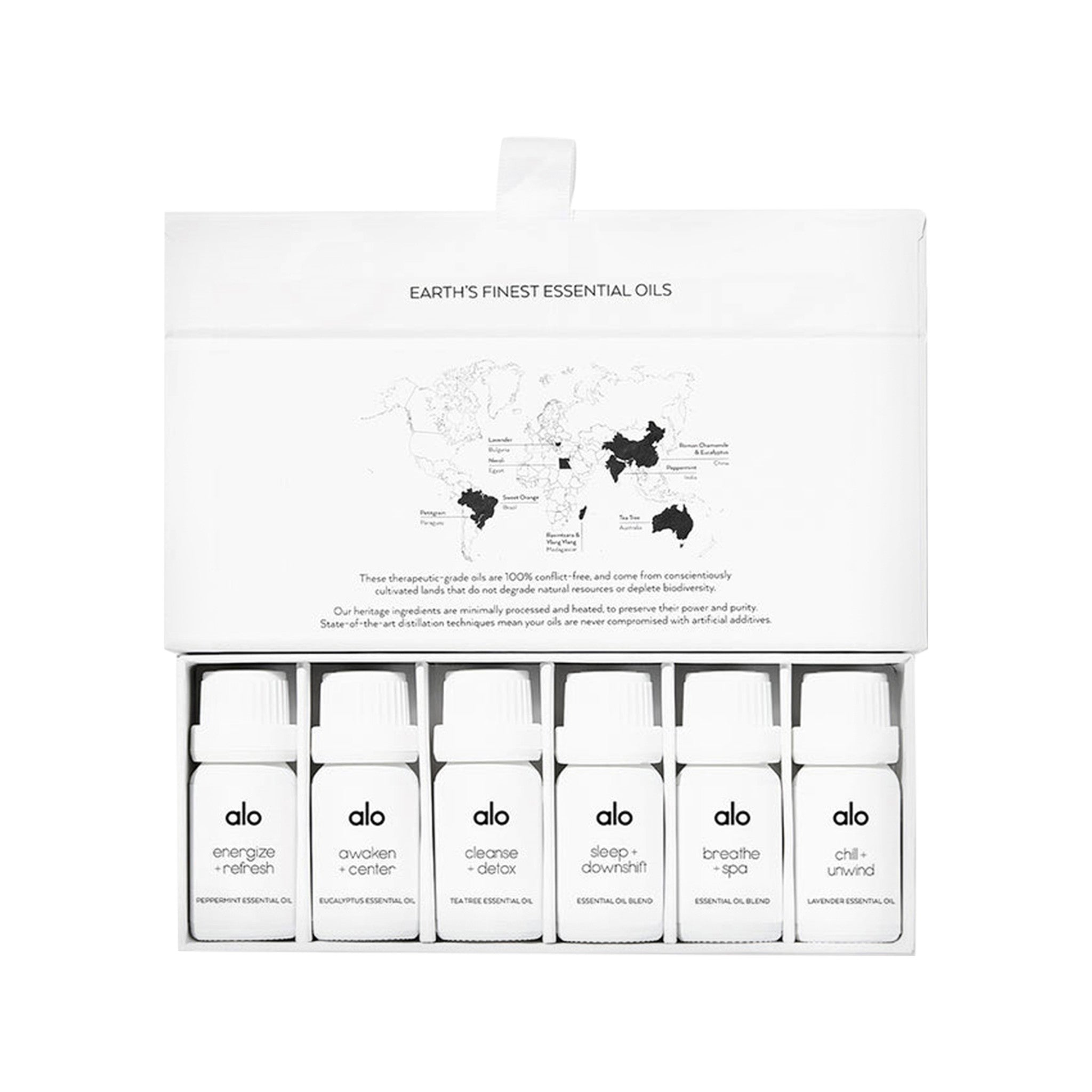 Nature Love Aromatherapy Essential Oil Blends Everyday Essentials Kit 5  pieces 