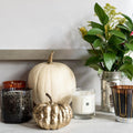 Jo Malone London Grapefruit Home Candle lifestyle image .