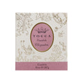 Tocca Cleopatra 10oz Candela box image.