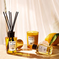 Acqua di Parma Luce di Colonia Room Diffuser lifestyle image .