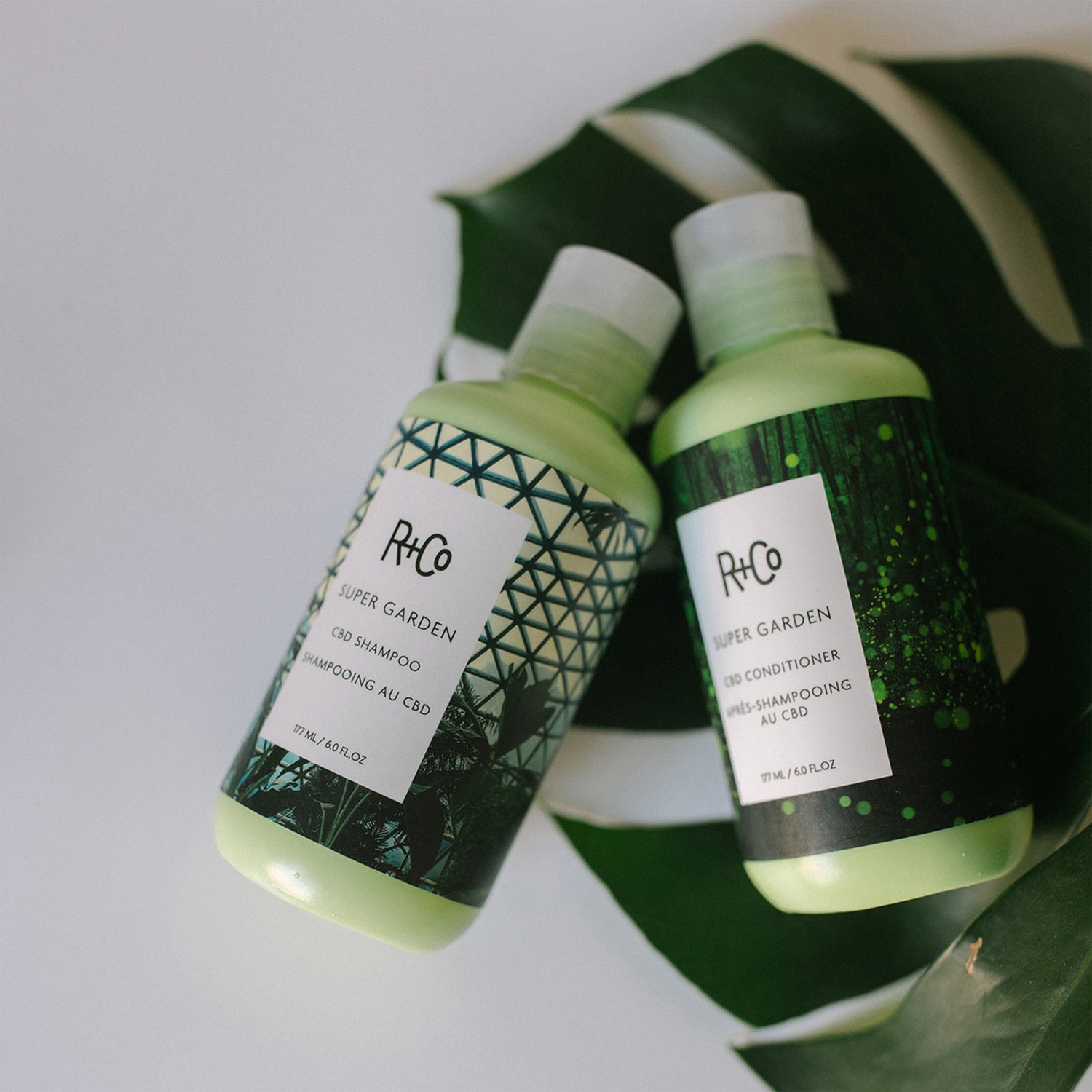 R+Co SuperGarden CBD Conditioner lifestyle image 2 .