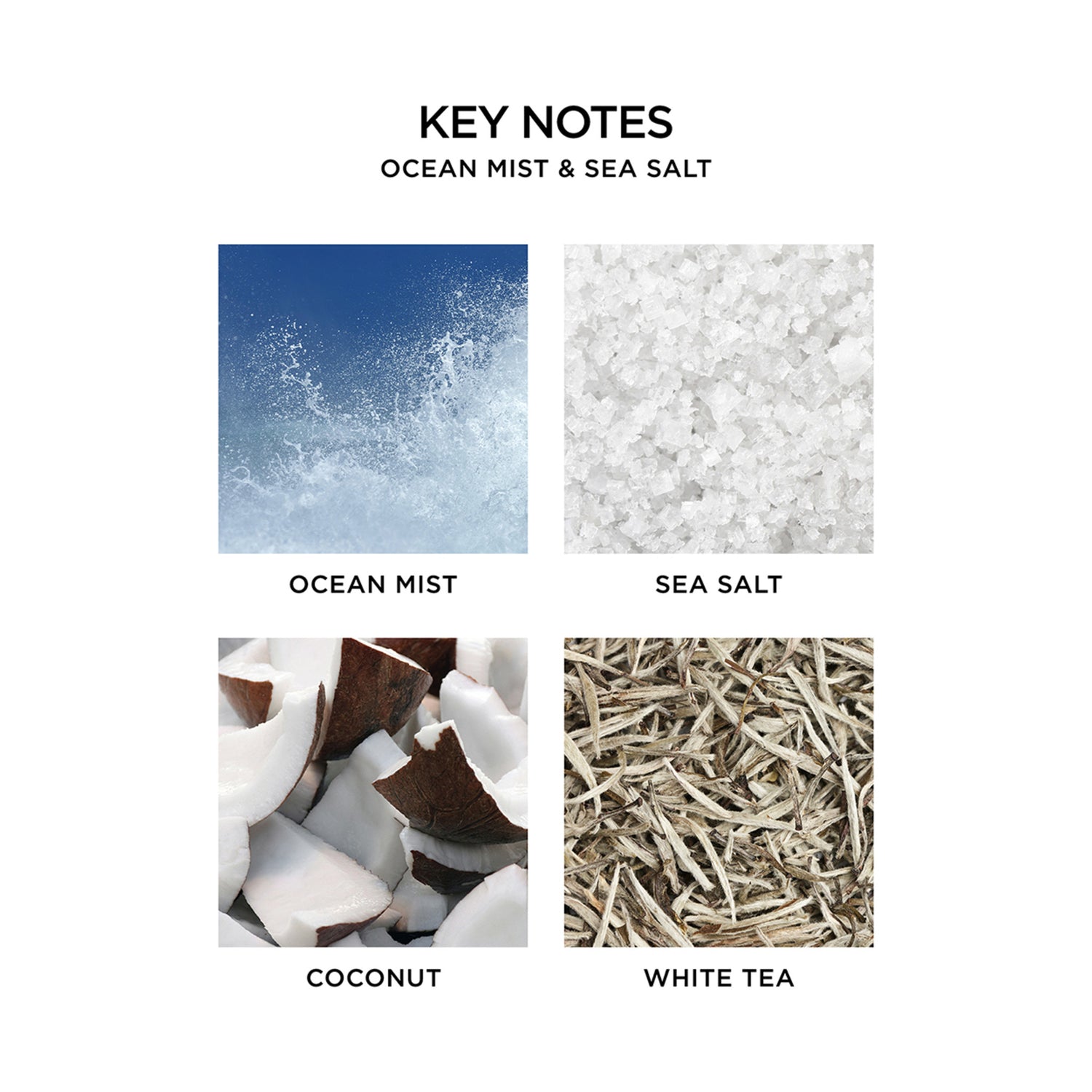 Nest Ocean Mist Reed Diffuser lifestyle image .