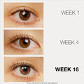 LashFood Lash and Brow Treats Duo before and after image . This product is in the color clear