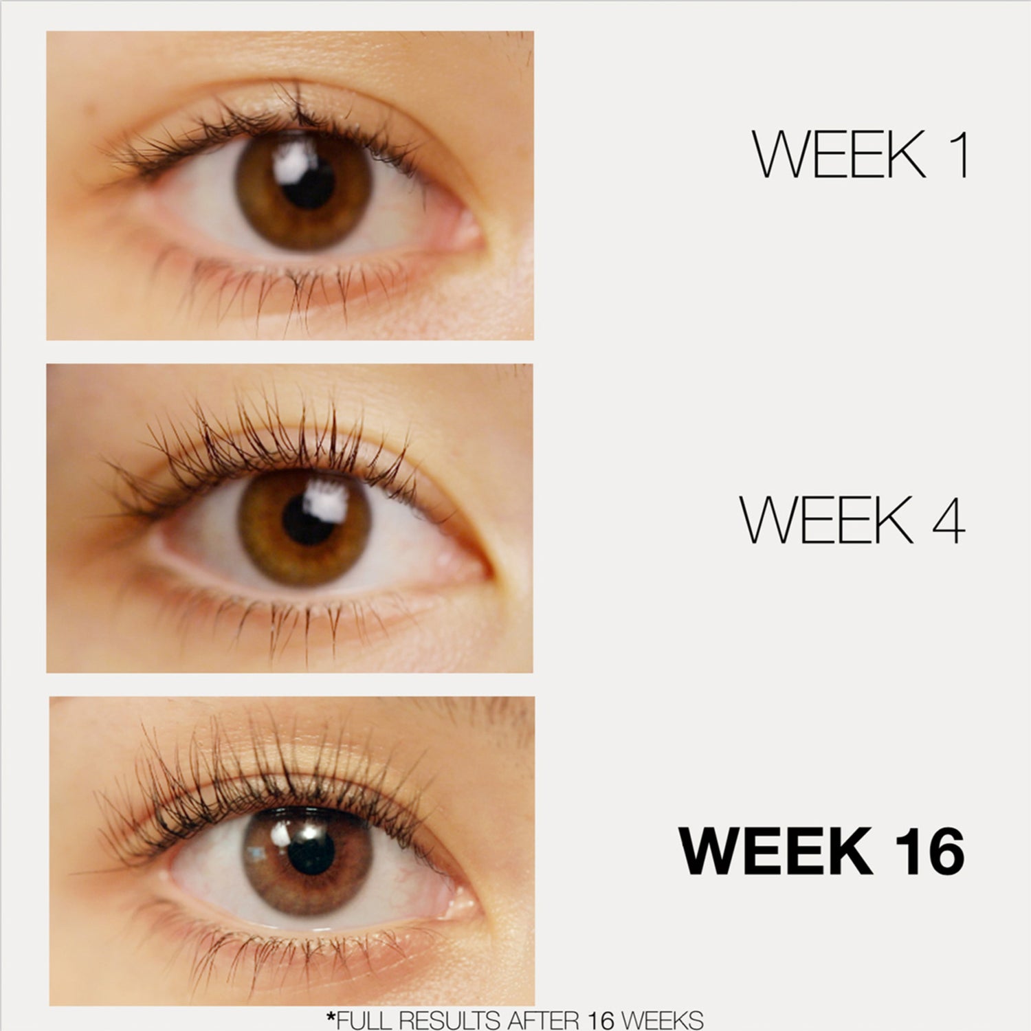 LashFood Lash and Brow Treats Duo before and after image . This product is in the color clear