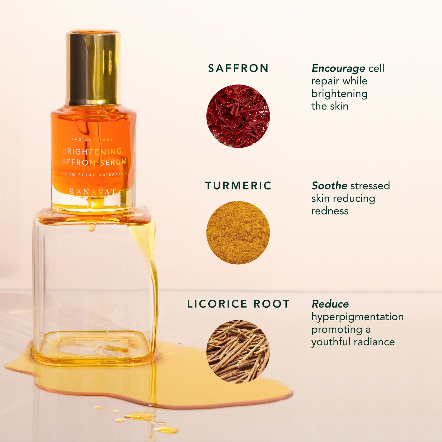 Ranavat Brightening Saffron Serum Radiant Rani lifestyle image 3 .