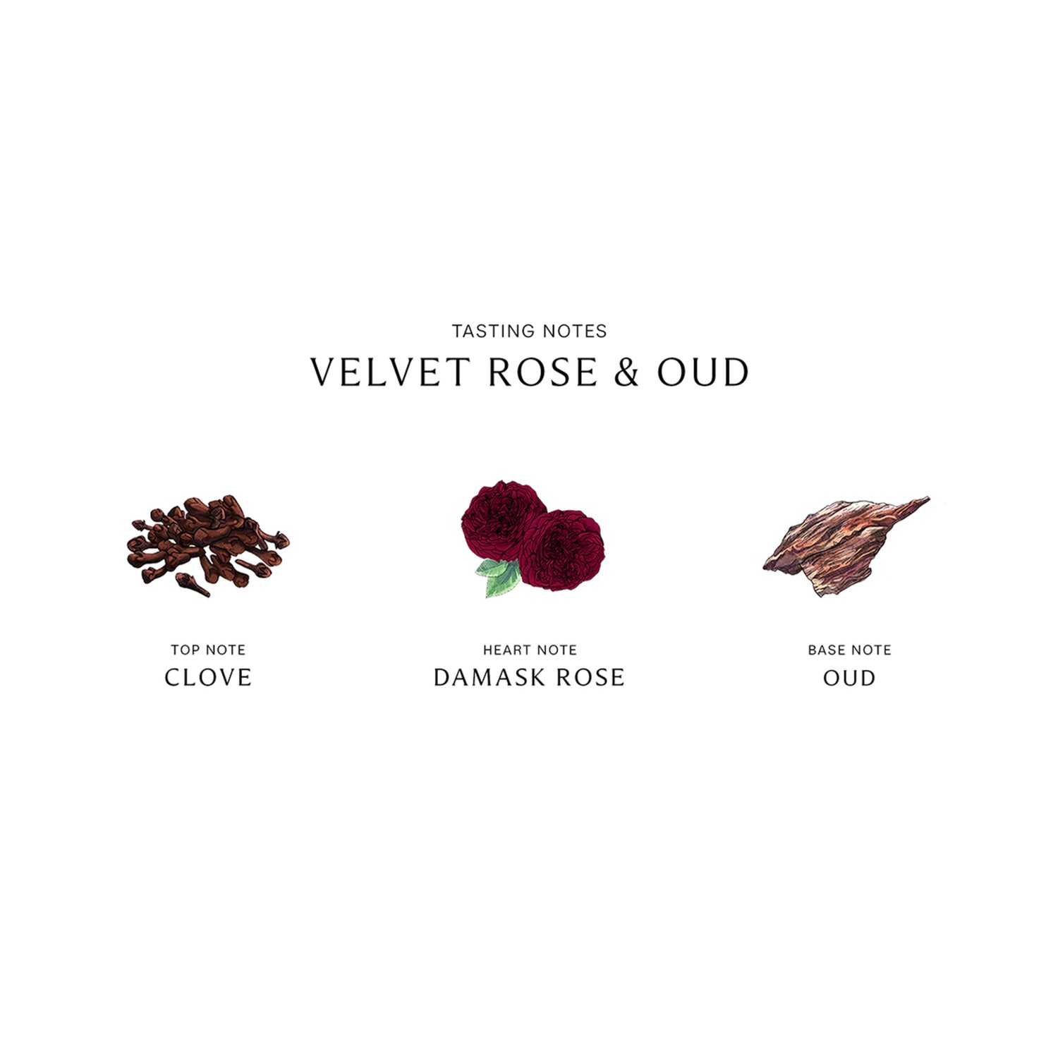 Jo Malone London Velvet Rose and Oud Candle infographics image .