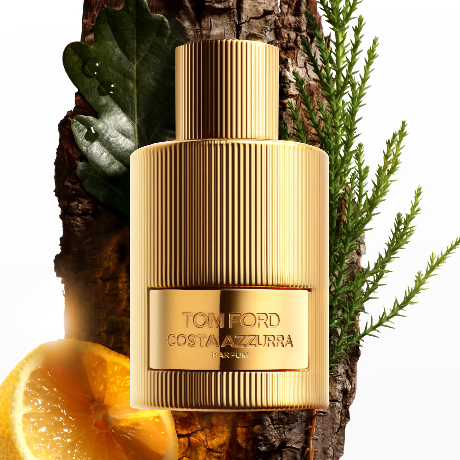 Tom Ford Costa Azzurra Parfum Size variant: 3.4 oz | 100 ml lifestyle image 4 .